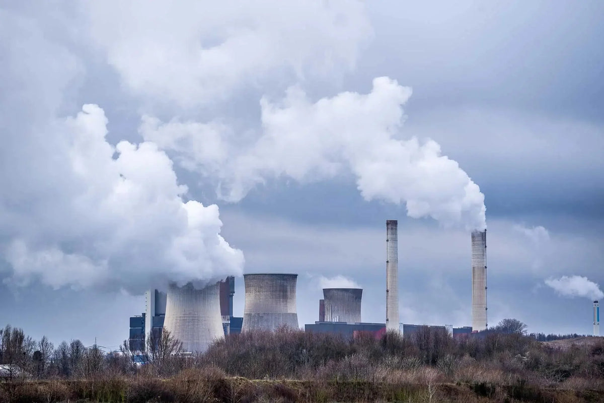 Environmental Factors and Type 1 Diabetes: Examining the Potential Links Imagen