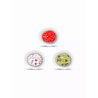 Three circular bowls with colorful food items next to Dexcom G7 Stickers for Christmas 2024