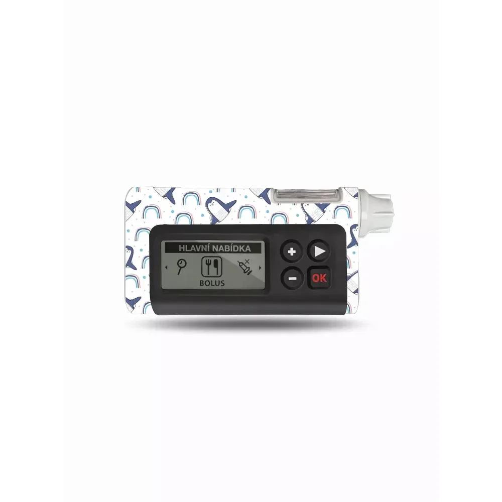 Dana RS Insulin Pump Sticker - Winter Collection